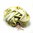Seidenschal Paisley-Muster Limonengrün 55cm