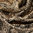 Seidenschal Paisley-Muster Nougat 35cm