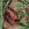 Seidenschal Paisley-Muster Grün-Rot 35cm