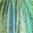 Seidenschal Paisley-Muster grüne Türkistöne 55cm